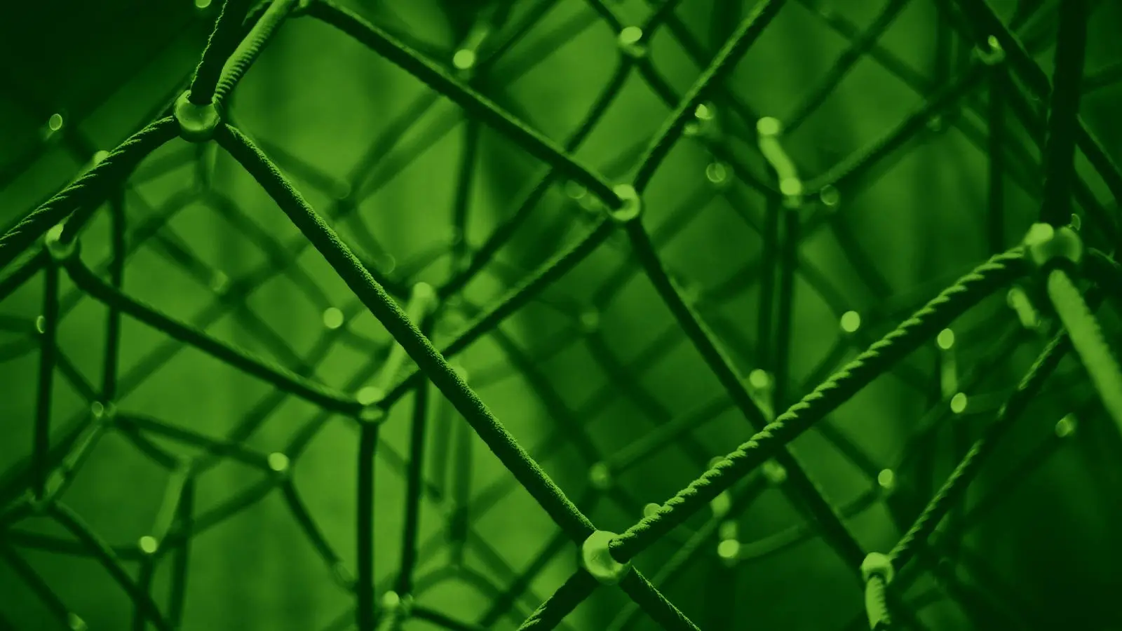 Effizienzsteigerung in Unternehmen: So skalieren Sie Ihre Strategie zur Realität